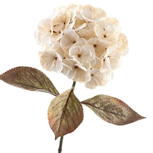 Kunstbloem – Hortensia – gedroogd beige – 65cm